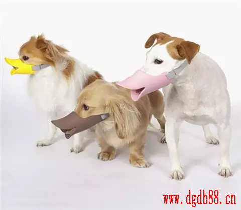 矽膠製品