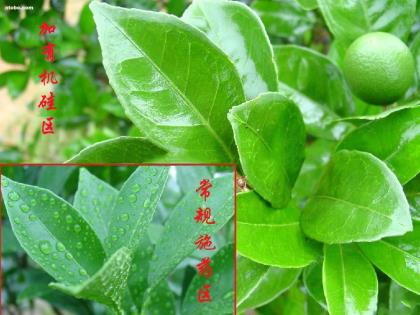 矽膠製品廠